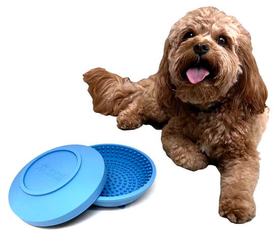 Kasian House Dog and Cat Lick Mat with Water Bowl & Lid, Slow Feeder B