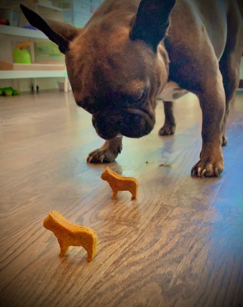French Bulldog Ice Mold Cavity Bulldog Dog Shape Ice Cube Molds