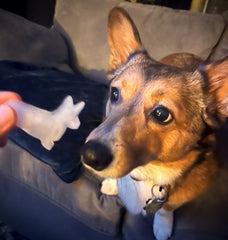 Corgi Silicone Ice Cube Tray and Treat Mold